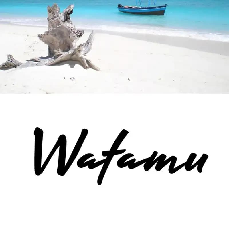 Perfect 3day itinerary for Watamu